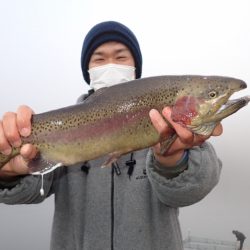 フィッシングレイクたかみや 釣果