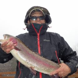 フィッシングレイクたかみや 釣果