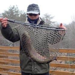 フィッシングレイクたかみや 釣果