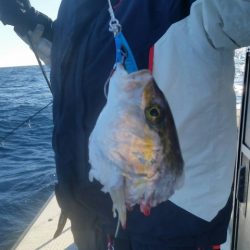 第五慶門丸 釣果