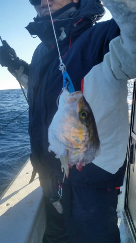 第五慶門丸 釣果