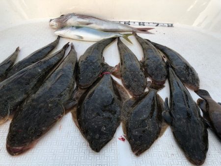 Magic(マジック) 釣果