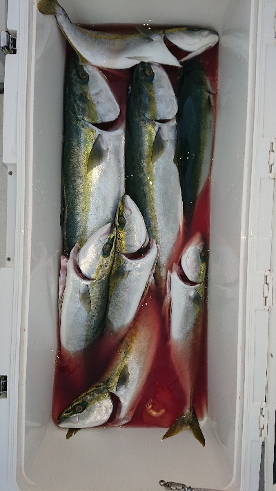 今年最後かな？