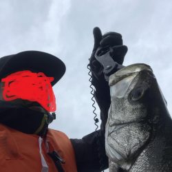 極寒びしょ濡れでヒラスズキ