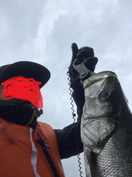 極寒びしょ濡れでヒラスズキ