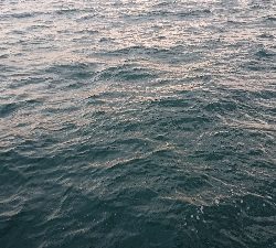 今年最後かな？