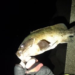 (尺アジ)フロートゲーム