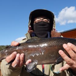 フィッシングレイクたかみや 釣果