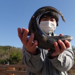 フィッシングレイクたかみや 釣果