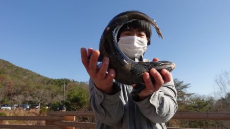 フィッシングレイクたかみや 釣果