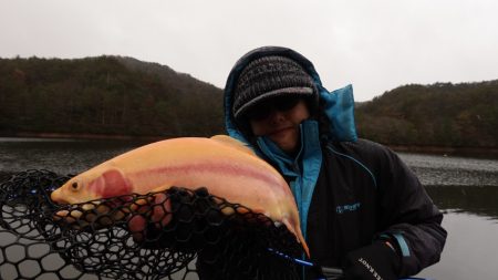 フィッシングレイクたかみや 釣果