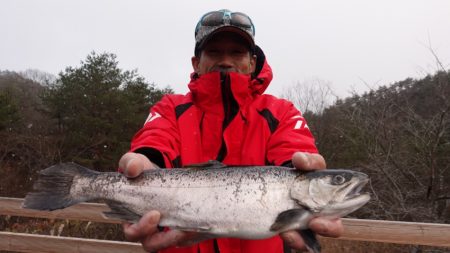 フィッシングレイクたかみや 釣果