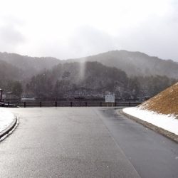 フィッシングレイクたかみや 釣果