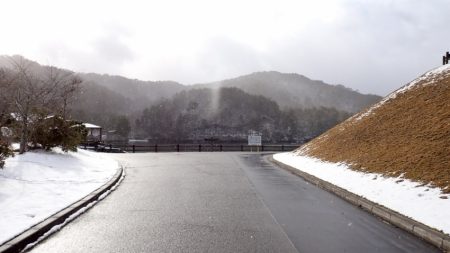 フィッシングレイクたかみや 釣果