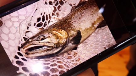 フィッシングレイクたかみや 釣果