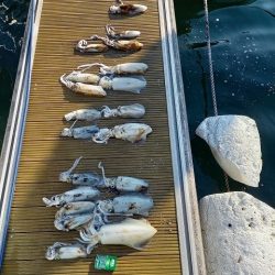 フィッシングボートACE(エース) 釣果