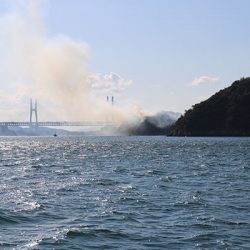 松本釣船２ 釣果