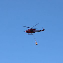 松本釣船２ 釣果