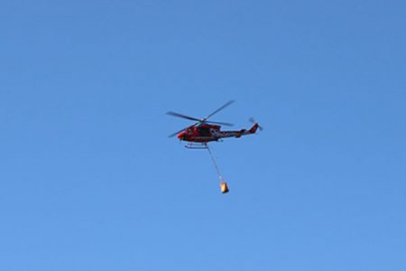 松本釣船２ 釣果