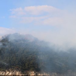 松本釣船２ 釣果