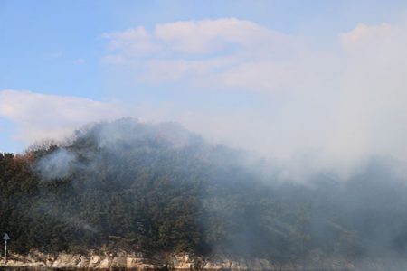 松本釣船２ 釣果