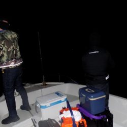 フィッシングボート空風(そらかぜ) 釣果