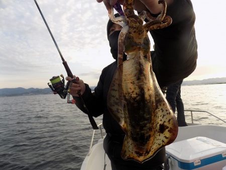 フィッシングボート空風（そらかぜ） 釣果