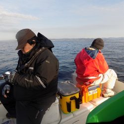 フィッシングボート空風(そらかぜ) 釣果