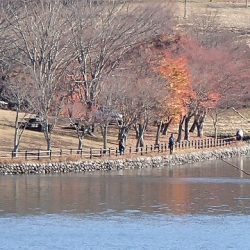 志高湖フィッシング 釣果