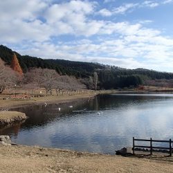 志高湖フィッシング 釣果