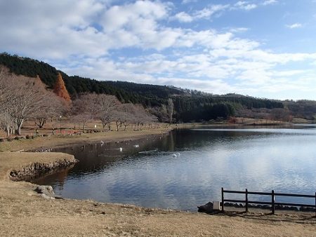 志高湖フィッシング 釣果