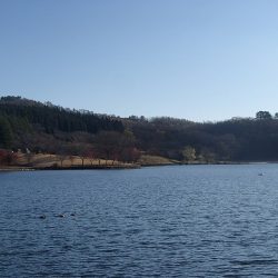 志高湖フィッシング 釣果