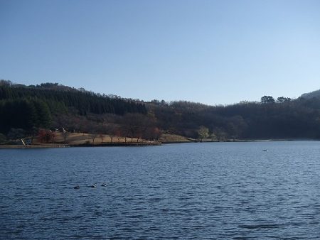 志高湖フィッシング 釣果