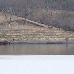 志高湖フィッシング 釣果