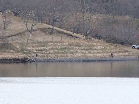 志高湖フィッシング 釣果