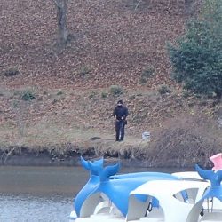 志高湖フィッシング 釣果