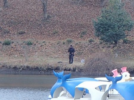 志高湖フィッシング 釣果