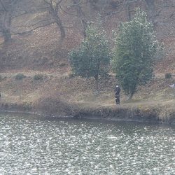 志高湖フィッシング 釣果