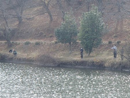 志高湖フィッシング 釣果