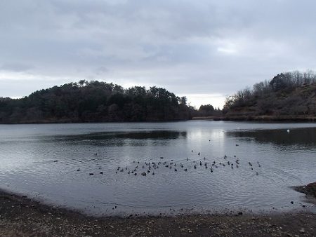 志高湖フィッシング 釣果