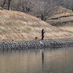 志高湖フィッシング 釣果