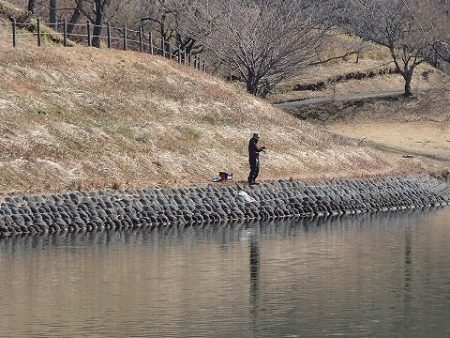 志高湖フィッシング 釣果