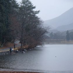 志高湖フィッシング 釣果