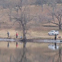 志高湖フィッシング 釣果