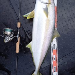 第二龍勢丸 釣果