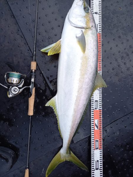 第二龍勢丸 釣果