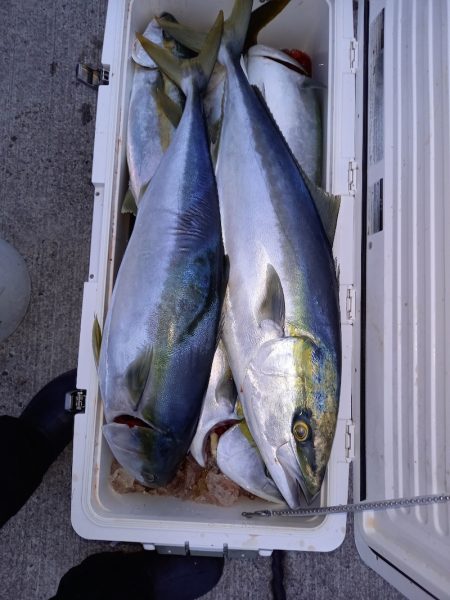 第二龍勢丸 釣果