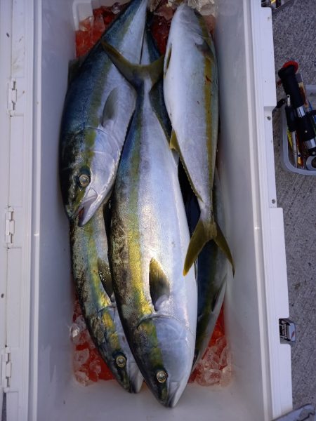 第二龍勢丸 釣果