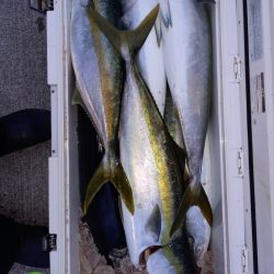 第二龍勢丸 釣果