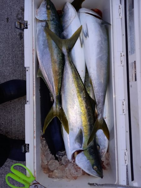 第二龍勢丸 釣果